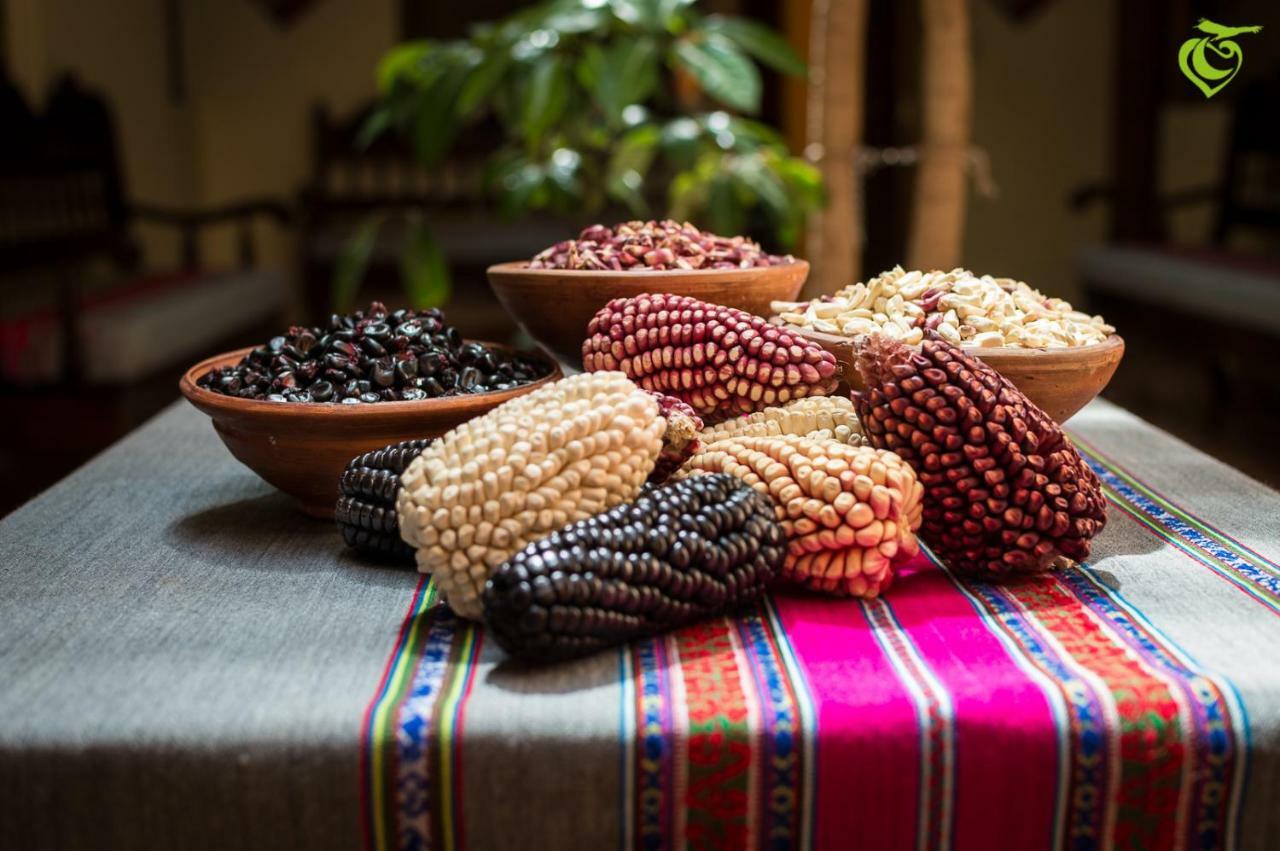 Sonqo Killa Del Colca Hotel Chivay Kültér fotó